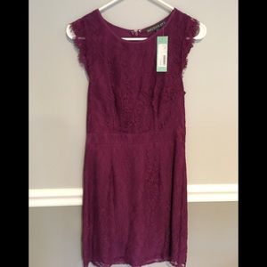 Brixon Ivy Medina Stretch Lace Dress